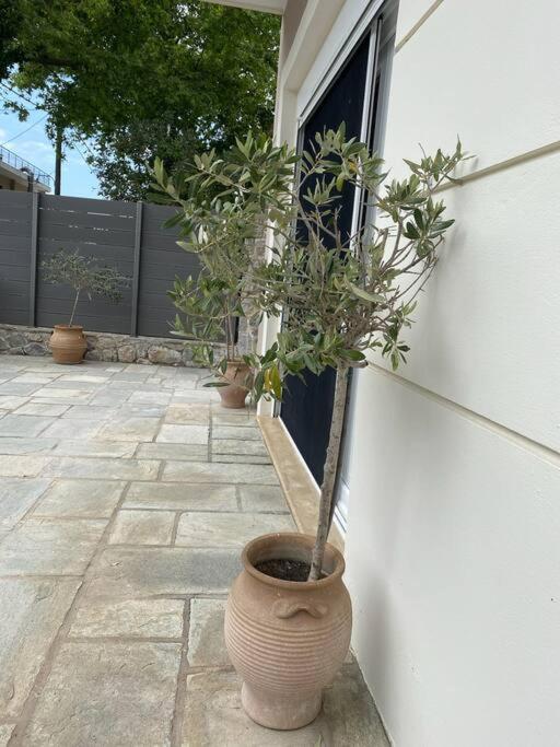Villa Oleander Agios Nikolaos Loutra Edipsou 외부 사진
