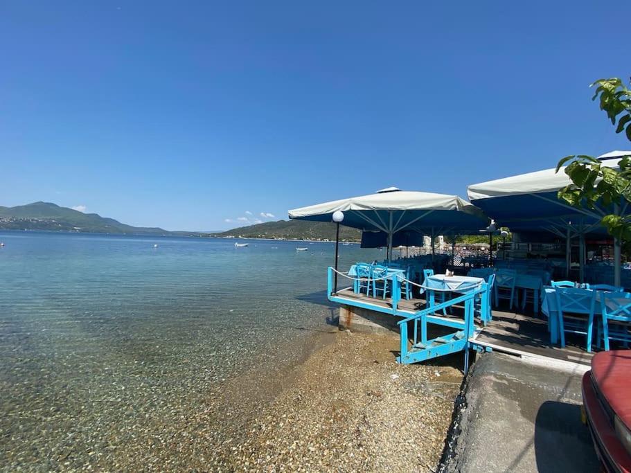 Villa Oleander Agios Nikolaos Loutra Edipsou 외부 사진
